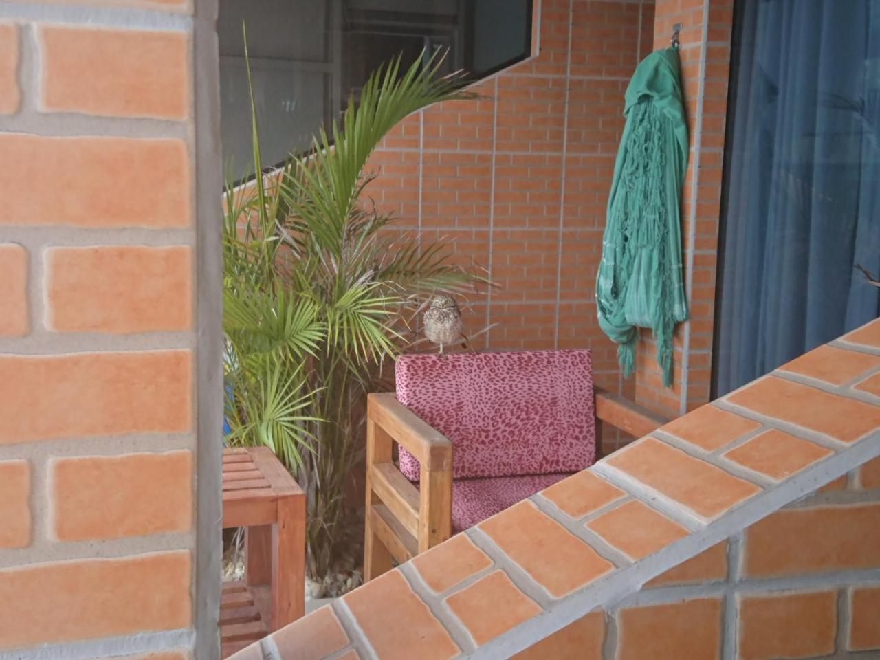 Pousada Suites Do Santinho Florianopolis Ngoại thất bức ảnh